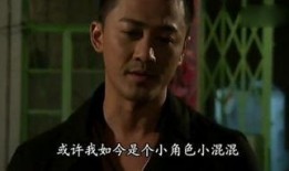 雷霆扫毒全集在线观看,全剧揭秘，正义与邪恶的终极对决